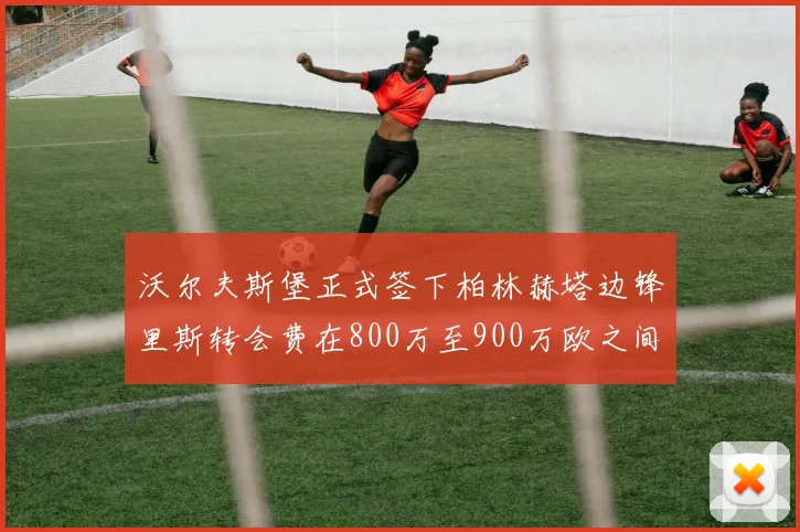 沃尔夫斯堡正式签下柏林赫塔边锋里斯转会费在800万至900万欧之间