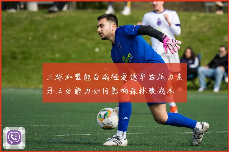 三球加盟能否减轻爱德华兹压力麦丹三分能力如何影响森林狼战术